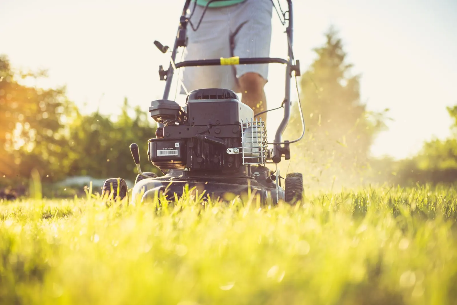 Before Fertilizing a Riverview Lawn: Six Things to Check