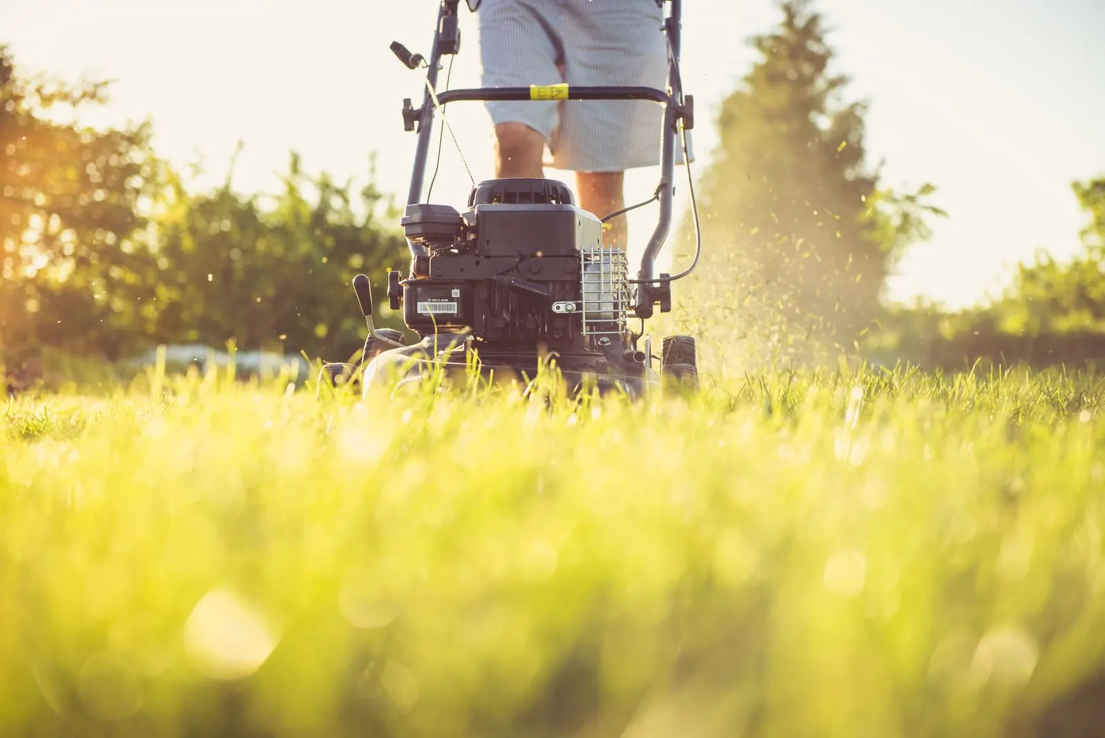 A Year-Round Lawn-Care Calendar for Riverview Properties