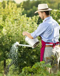 A Smarter Riverview Lawn-Watering Routine for Florida Heat