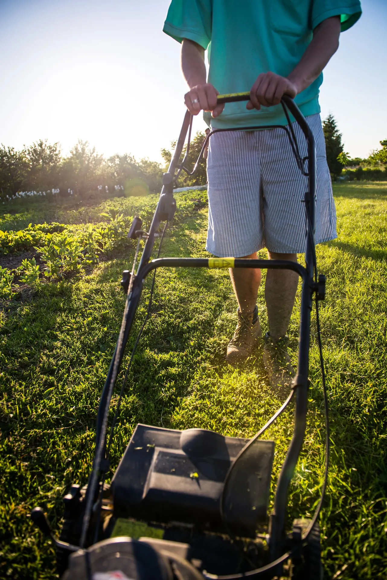 Riverview Rainy-Season Lawn Care: What to Do After Heavy Storms